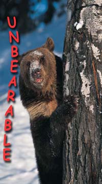unbearable bear